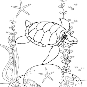 May include: A black and white line drawing of a sea turtle swimming in the ocean. The turtle is swimming over a large rock with a starfish on top. There are also sea shells, seaweed, and small fish in the drawing.