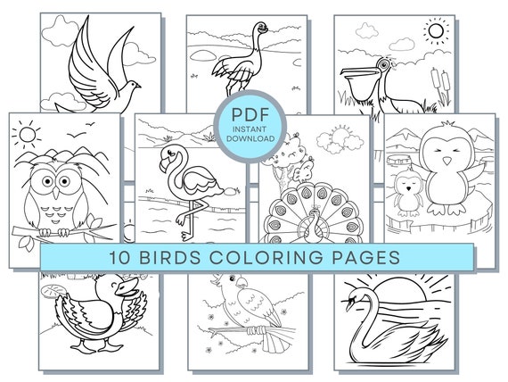 Birds Coloring Pages, Birds PDF, Birds Printables, Birds Coloring Sheets, Cute Birds Coloring Pages, Birds Activity Page, Birds Downloadable