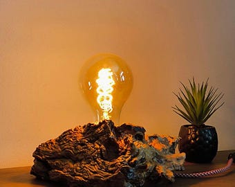 Handgemaakte lamp van olijfhouten boomstronk – een uniek, natuurlijk designstuk