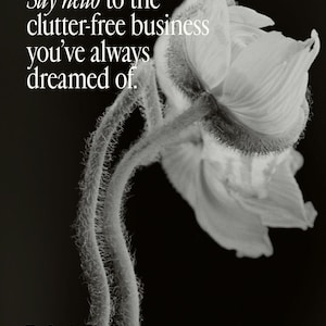K&ouml;nnte beinhalten: Eine Schwarz-Wei&szlig;-Grafik mit einer Mohnblume mit flauschigem Stiel und dem Text: Say hello to the clutter-free business you've always dreamed of. The Creative Business Hub BY MARA DESIGN. Das Bild hat einen kontrastreichen schwarzen Hintergrund.