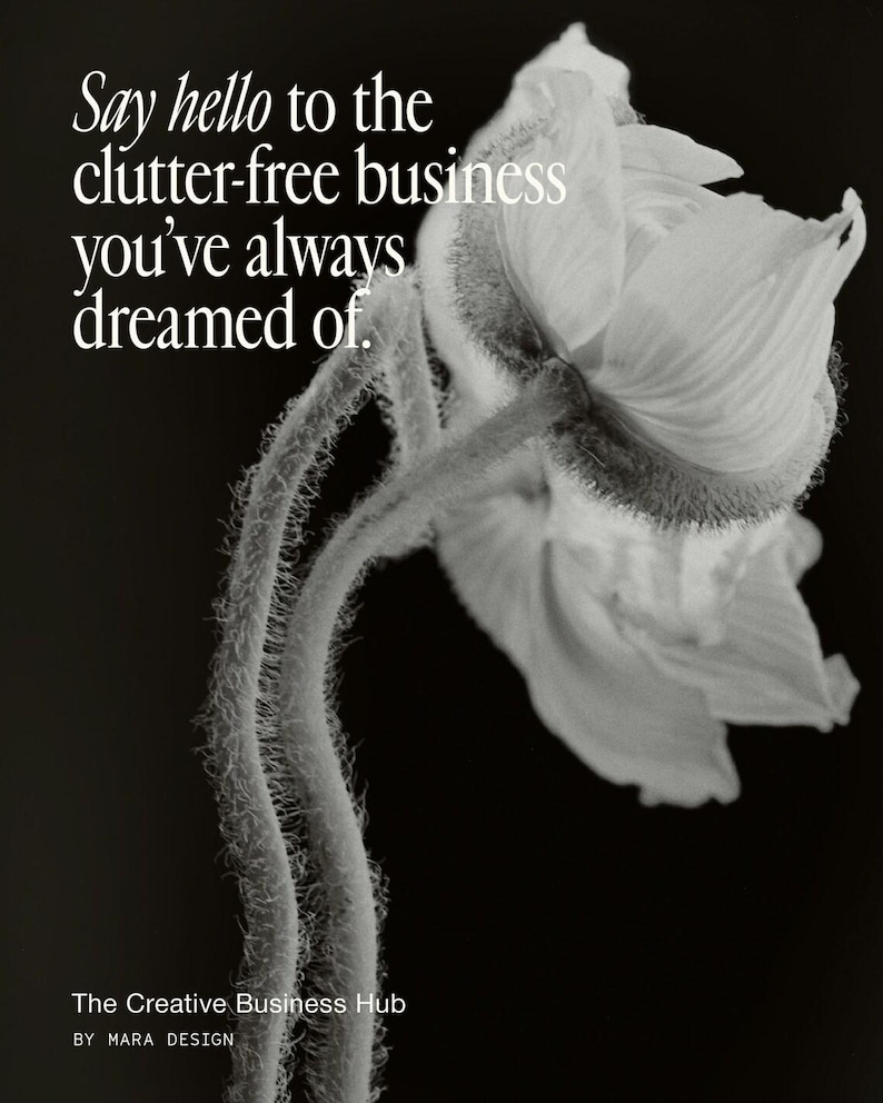 K&ouml;nnte beinhalten: Eine Schwarz-Wei&szlig;-Grafik mit einer Mohnblume mit flauschigem Stiel und dem Text: Say hello to the clutter-free business you've always dreamed of. The Creative Business Hub BY MARA DESIGN. Das Bild hat einen kontrastreichen schwarzen Hintergrund.