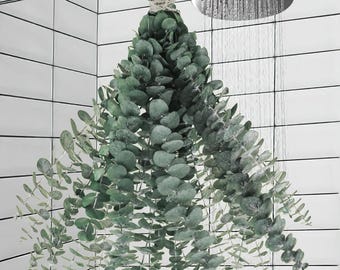 Dried Eucalyptus Stems, 17 Inch Greenery for Shower, Vase Arrangements, DIY Crafts