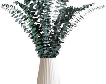 Eucalyptus Stems, 17 Inch Real Branches for Shower, Wedding, Home Decor
