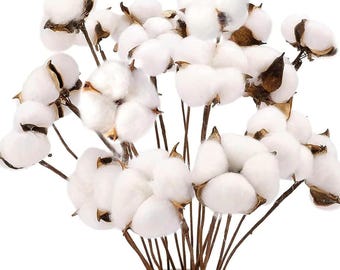 Natural Dried Cotton Stems, Farmhouse Fall Floral Arrangement Vase Filler