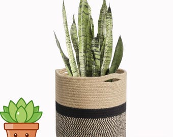 Handcrafted Jute Rope Plant Basket, Black Beige Stripes, 11 Inch Planter Cover