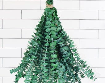 Natural Dried Eucalyptus Stems, 17 Inch Preserved Branches for Home Decor