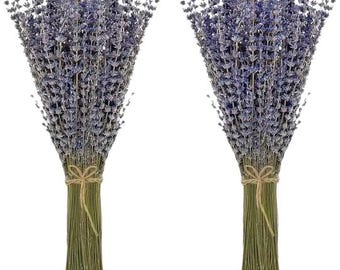 Dried Lavender 2 Bunches (200-220 Stems), Natural Purple Flowers 15-17" for Shower, Vase, Bathroom, Wedding, Home Decor & Fragrance