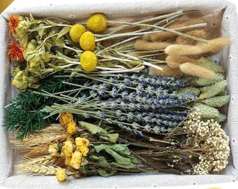 DIY Natural Dried Flower Set, Bulk Dried Flowers for Vase, Dried Flowers with Stems, Dried Roses, Mini Dried Flower Bouquets