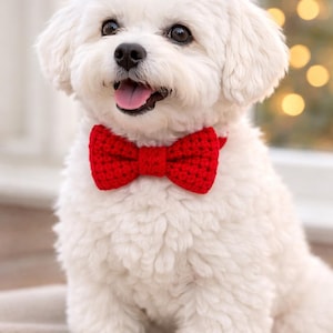 Pode incluir: Um cão Bichon Frise branco com uma gravata borboleta vermelha de crochê. O cão está sentado e olhando para a câmera, com a língua de fora. O fundo está desfocado com luzes quentes. A gravata borboleta é vermelha vibrante.