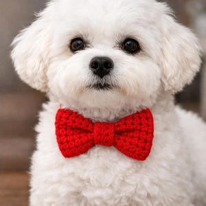 May include: A small white dog with fluffy fur wearing a bright red crocheted bow tie around its neck. The bow tie features a textured, knotted yarn construction with a central band, contrasting sharply against the dog's white coat and dark eyes.