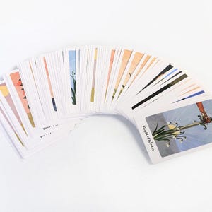 May include: A deck of tarot cards fanned out, showcasing colorful illustrations. The cards feature various images, including a sword and flowers, with the words "Knight of Winter" visible on one card. The cards are arranged on a white surface.