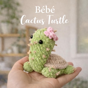 May include: A handmade crochet cactus turtle in shades of green and beige, with a pink flower on its head. The turtle has black eyes and small, beige spines. The text "Bébé Cactus Turtle" is displayed above the turtle.