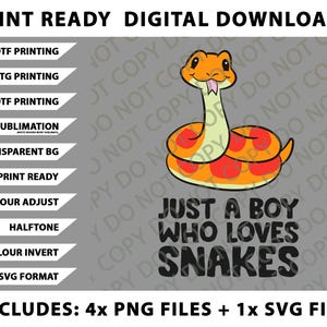 Puede incluir: Descarga digital con una serpiente de dibujos animados en naranja y rojo y el texto "Just a Boy Who Loves Snakes". Incluye archivos PNG y SVG para impresión DTF, DTG, UVDTF y sublimación.
