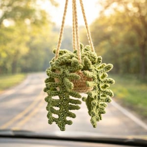 Może przedstawiać: Szydełkowa wisząca roślina w samochodzie. Roślina jest zielona i zwisa z beżowej doniczki. Roślina zawieszona jest na lusterku wstecznym za pomocą beżowych sznurków. Tło przedstawia drogę i drzewa.
