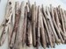 15 Driftwood Wands Sticks Northern California Redwood Forest Coast Magical Wicca Pagan New Age Wands Macreme' Chimes #3 