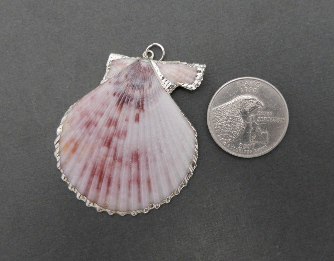 Amazing Speckled Shell Pendant With Electroplated Silver Edges - Etsy