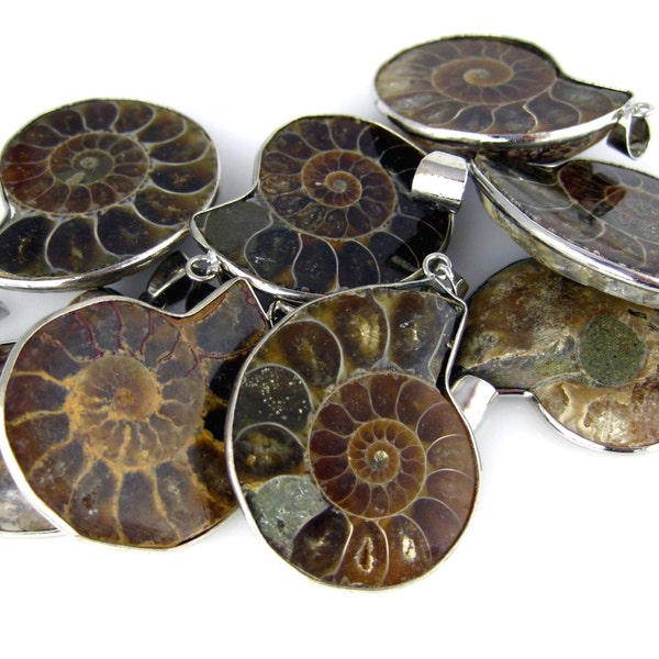 Ammonite Fossil Pendant- Ammonite Set in a Silver Plated Bezel Pendant