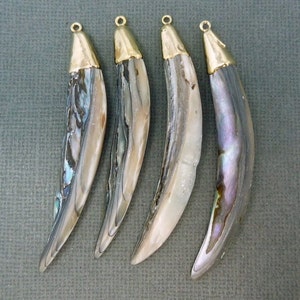 Abalone Horn Pendant -  Abalone Horn with Electroplated 24k Gold Cap and Bail (S3B3-15)