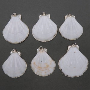 May include: Six white seashell pendants with silver accents. The shells are all different shapes and sizes, but they are all polished and smooth.