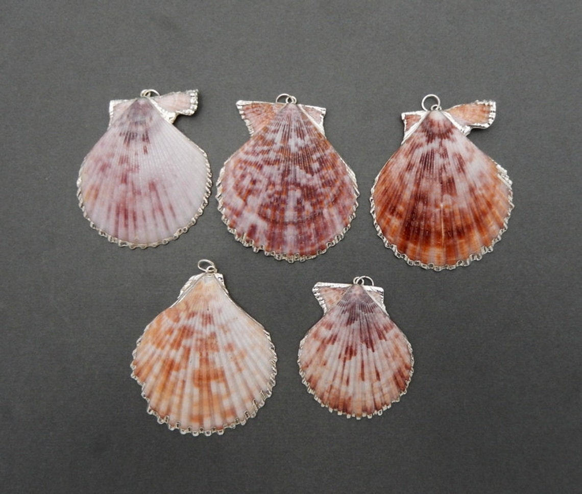 Amazing Speckled Shell Pendant With Electroplated Silver Edges - Etsy