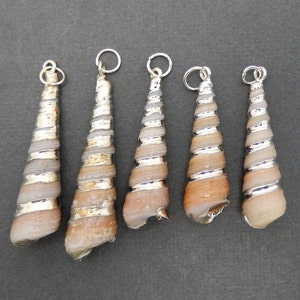 以下が含まれることがあります： らせん模様の銀メッキが施された貝殻が5つあります。貝殻は銀製のジャンプリングに取り付けられており、ジュエリーのペンダントとして使用できます。