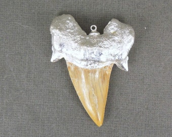 Shark tooth Pendant HANDMADE  Large Fossil Shark Tooth with Silver Electroplated Cap Pendant STUNNING (S3B1-07)