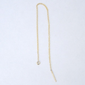 May include: A gold chain with a small loop at one end and a straight pin at the other end.