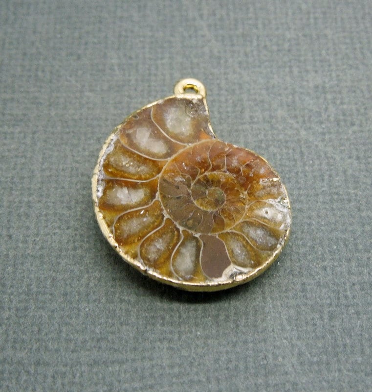 Ammonite Halve Pendant with Electroplated 24k Gold Layered - Ammonite Pendant FOSSILS