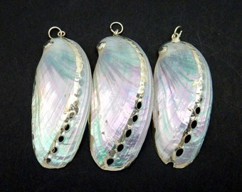 Electroplated Silver Edge Abalone Shell Pendant (S83B14-06)