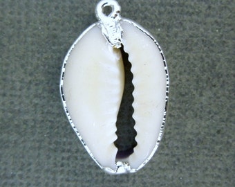 Silver Edged Cowrie Shell Charm Pendant-- Silver Electroplated Cowrie Shell Pendant