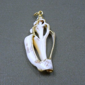 Lovely Brown Seashell With 24k Gold Electroplated Edge Bail Pendant ...