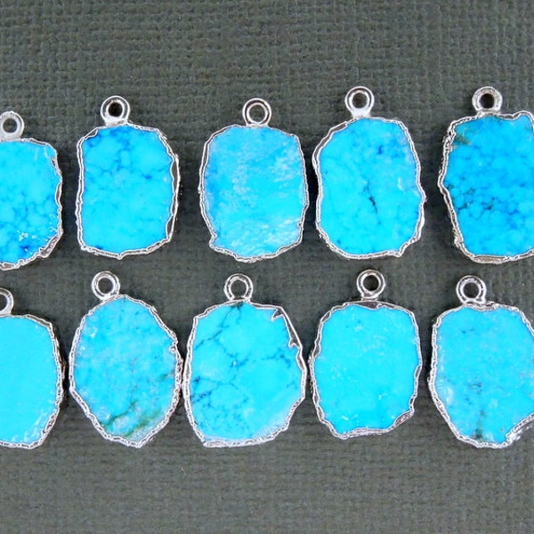 Turquoise Petite Freeform Charm Pendant with Silver Electroplated Edge (S28B10-04)