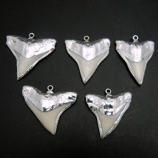 Medium White Shark Tooth Pendant with Electroplated Silver Edge and Cap (S114B9-13)