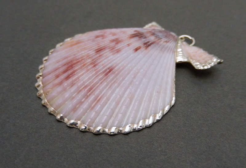 Amazing Speckled Shell Pendant With Electroplated Silver Edges - Etsy