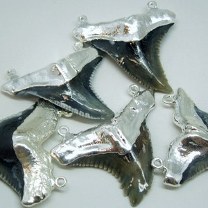 May include: Six silver shark tooth pendants featuring a black and grey fossilized shark tooth design. The pendants have a silver loop for attaching to a chain or cord.