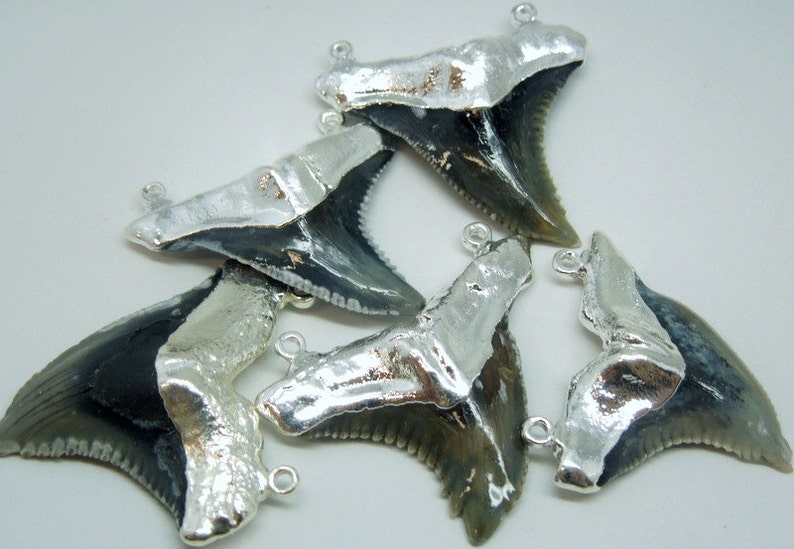 May include: Six silver shark tooth pendants featuring a black and grey fossilized shark tooth design. The pendants have a silver loop for attaching to a chain or cord.