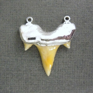 May include: A silver pendant shaped like a shark tooth with a yellow tooth in the centre.