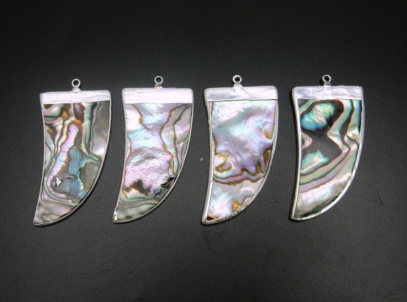 Abalone Shell Horn pendant with Electroplated Silver Edge S118B3-24