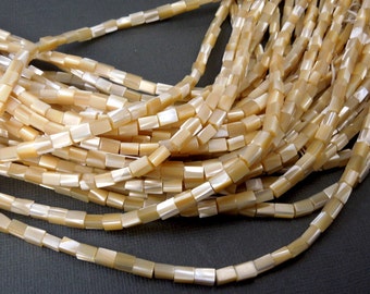 Mother of Pearl Rectangular Tube Beads-- 1 STRAND (S91B13-02)