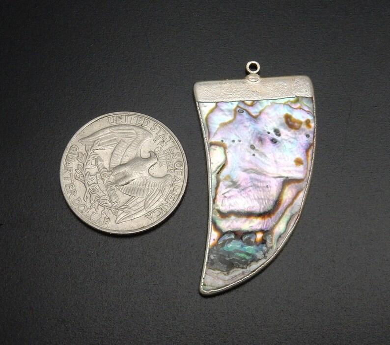 Abalone Shell Horn pendant with Electroplated Silver Edge S118B3-24