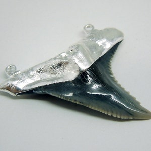 May include: A silver pendant featuring a fossilised shark tooth. The tooth is grey and has a textured surface. The pendant has a silver bail for attaching a chain.