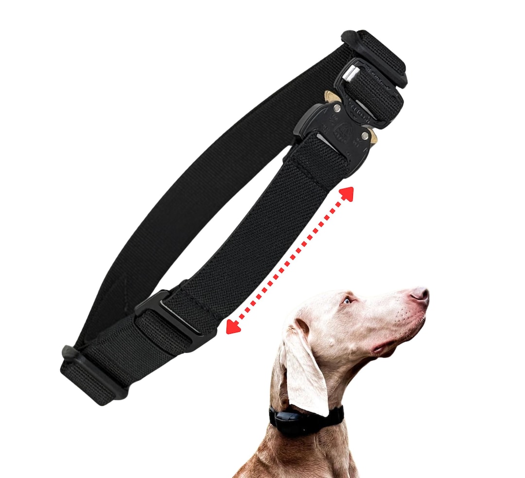 Bungee E-collar Replacement Strap