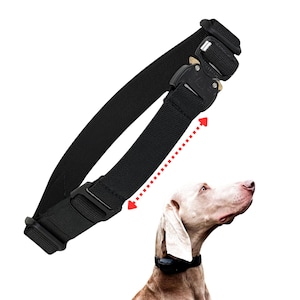 May include: A black nylon dog collar featuring a heavy-duty metal quick-release buckle and an adjustable sliding strap mechanism. A red dashed arrow indicates the adjustable length of the collar, which is shown worn by a light brown dog.