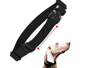 Bungee E-Collar Replacement Strap - Fits 3/4" DogTra, Educator, Garmin, SportDog etc