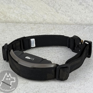 Correa elástica para collar electrónico para perros – Compatible con DogTra 1200/1900/ARC-X de 2,5 cm o similar - Correa de repuesto para collar electrónico