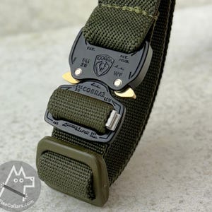 May include: Close-up of an olive green dog collar with a black metal buckle. The buckle has gold accents and the text "COBRA" and "PAT. PEND." The collar also features the text "FlexCollars.com" and a dog logo.