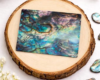 Pegatina holográfica de concha de abulón – Vinilo iridiscente