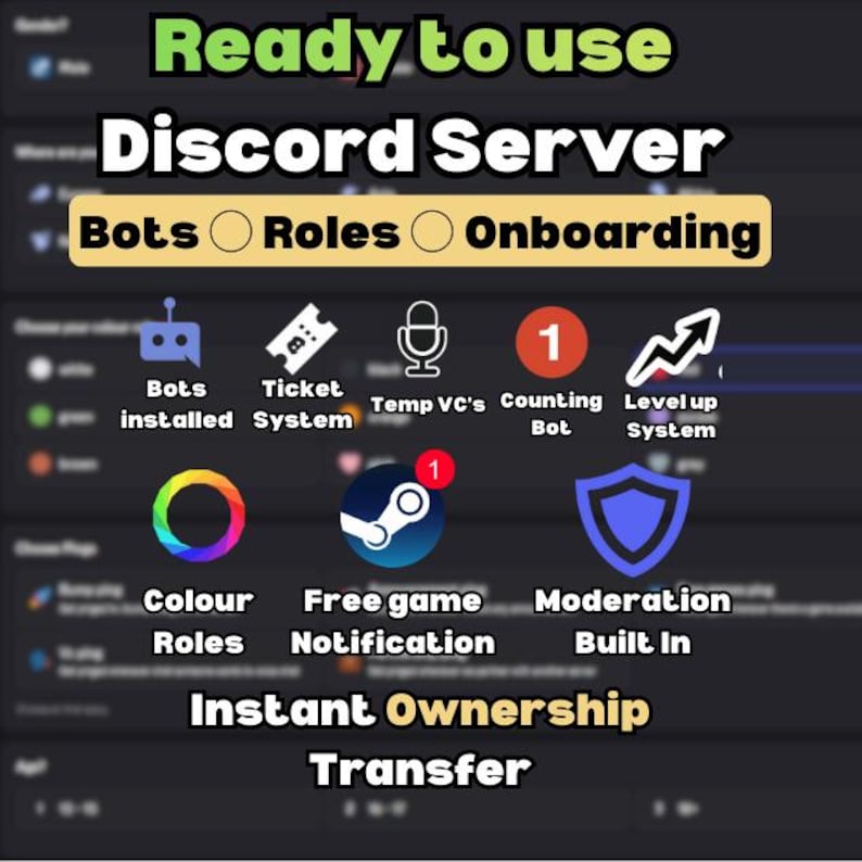 May include: A graphic with the text "Ready to use Discord Server" and icons representing features like bots, roles, and onboarding. Additional icons include a ticket system, counting bot, level up system, color roles, free game notification, and moderation.