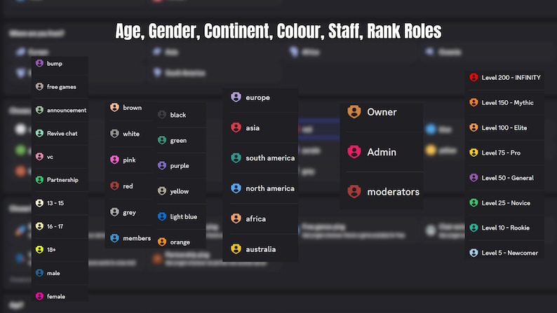 May include: A dark interface displays options for age, gender, continent, color, staff, and rank roles. Categories include age ranges, gender, continents, colors, staff roles like Owner and Admin, and rank levels from Newcomer to Infinity.