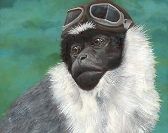 Roloway Monkey - Fine Art Print